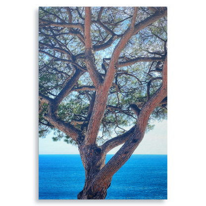 The Sentinel - Fine Art Print