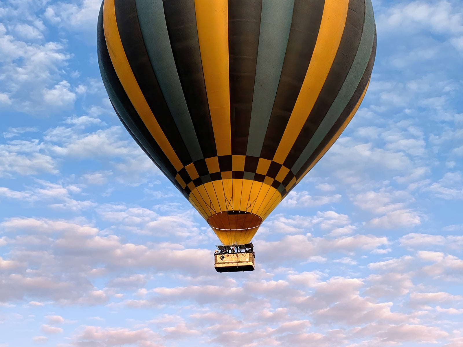 The Weightless and the Wild - Fine art print