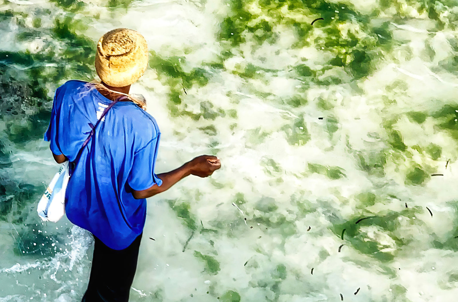 Gifts of The Tide - Fine art print