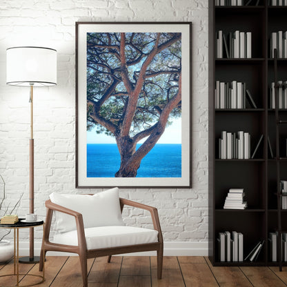 The Sentinel - Fine Art Print