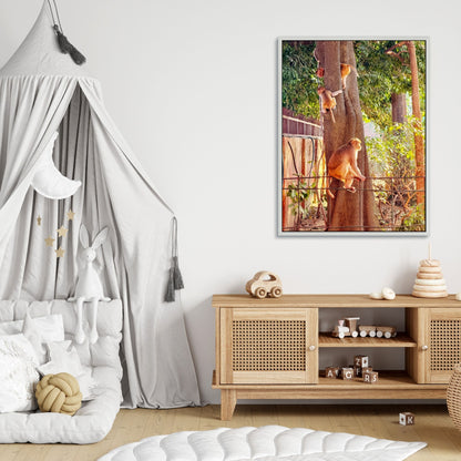 Oh, to Be a Monkey! - Fine Art Print in Floating Frame