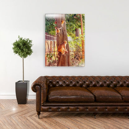 Oh, to Be a Monkey! - Acrylic Print