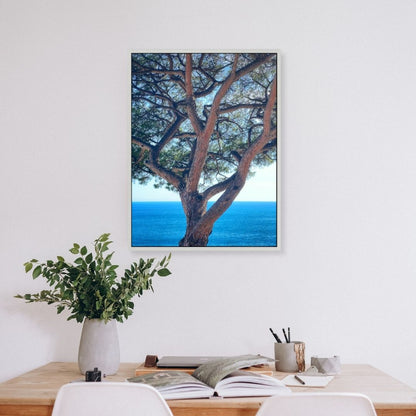The Sentinel - Fine Art Print in Floating Frame
